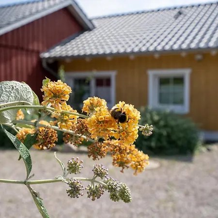 Alte Kleine Ostseeliebe * داهم